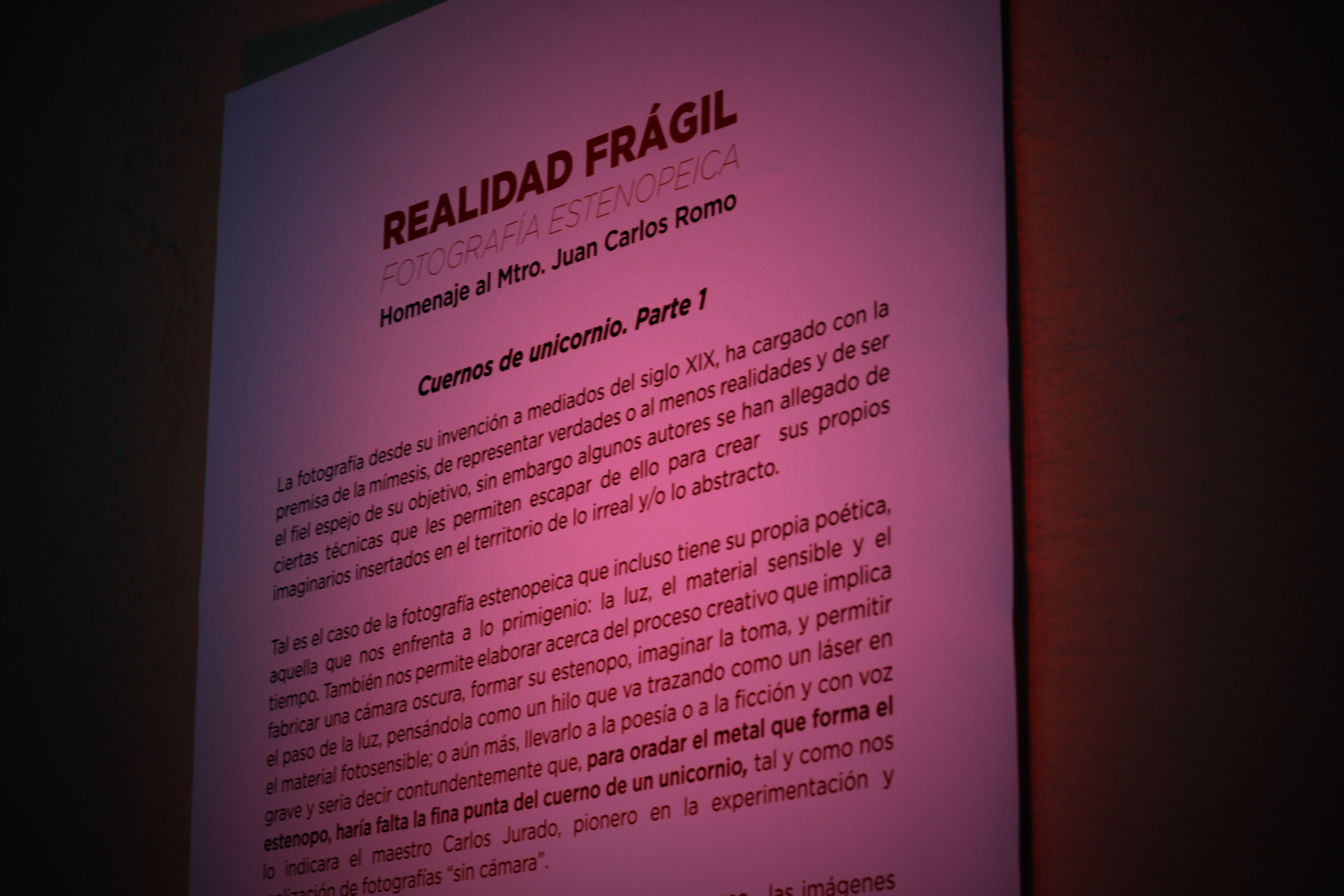 ALUMNOS DE ARQUITECTURA PRESENTAN ‘‘REALIDAD FRÁGIL: FOTOGRAFÍA ESTENOPEICA’’