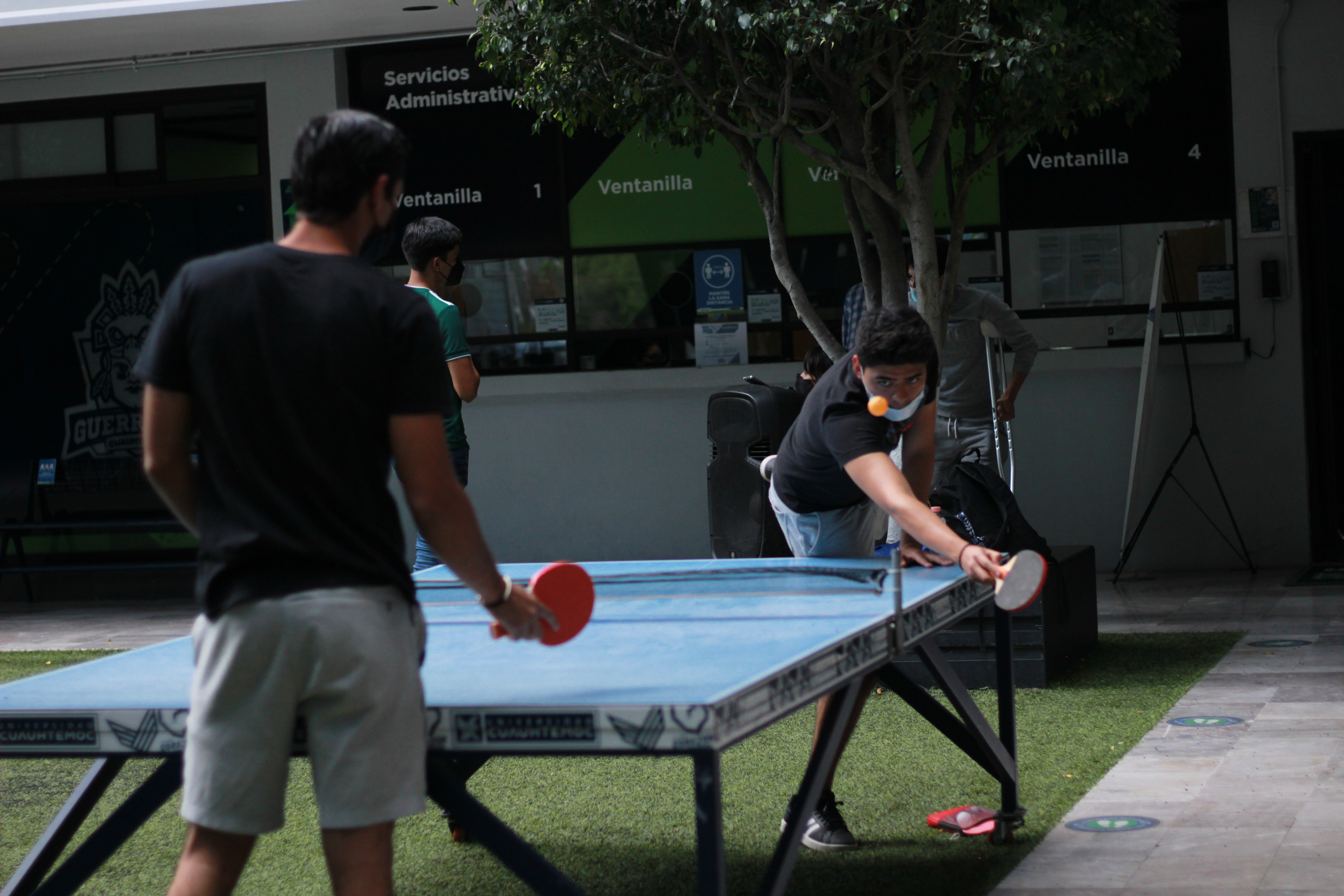 TORNEO PING PONG