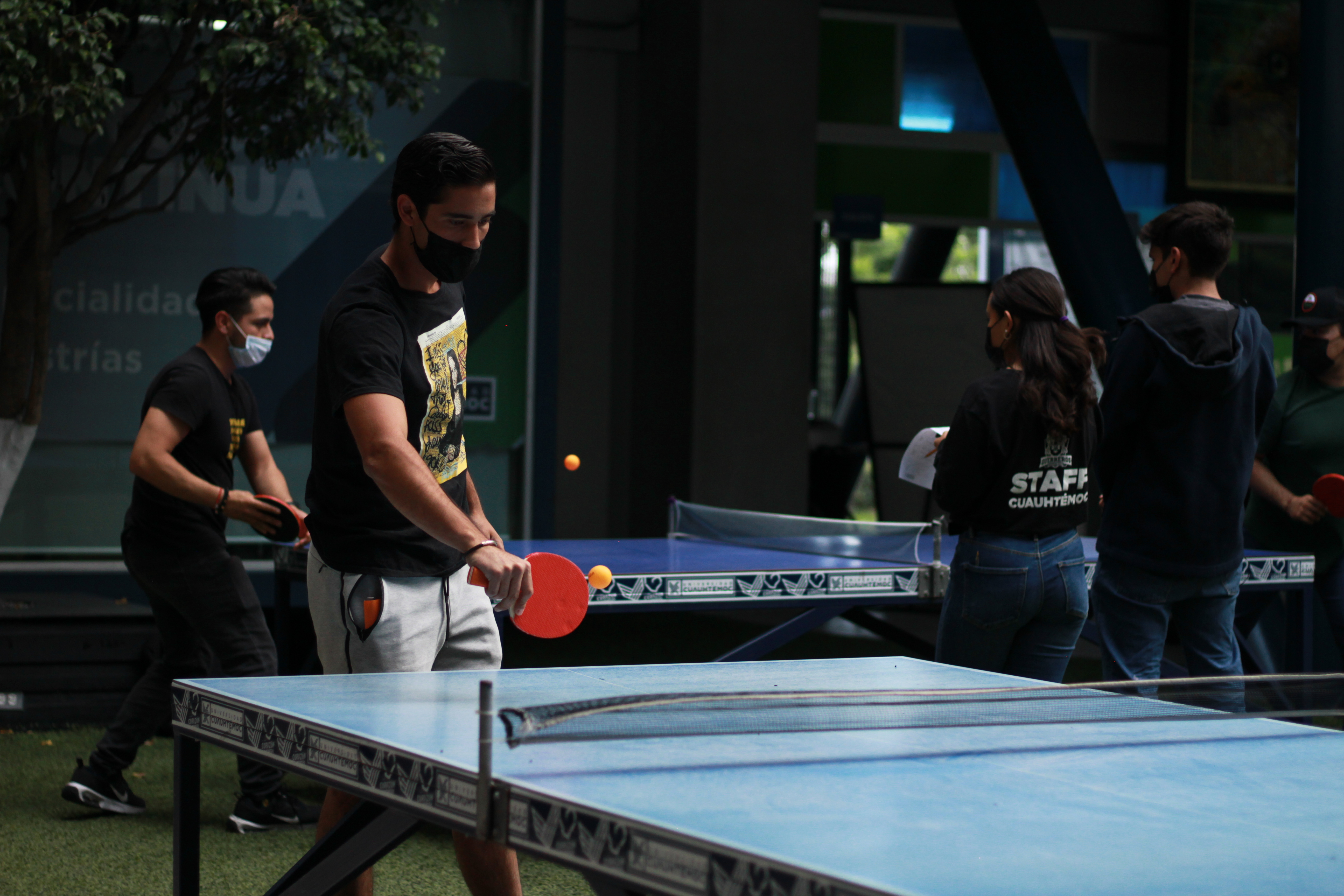 TORNEO PING PONG