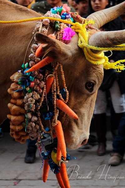 Alumnas participan en “Fotografía tus tradiciones”