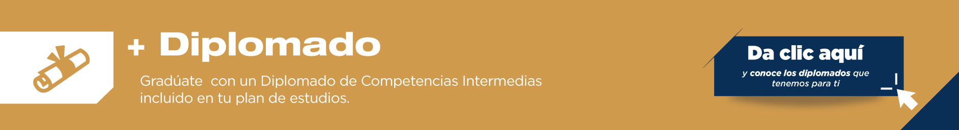 Durante la licenciatura en Animación y Diseño de Arte Digital obtendrás Diplomados de Competencias Intermedias, los cuales jugarán un rol importante en tu vida laboral.