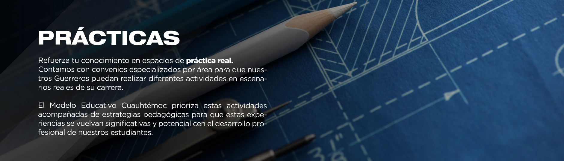 Las prácticas profesionales tienen un gran impacto en tu formación profesional. Te aseguramos que te preparará para el éxito laboral. 