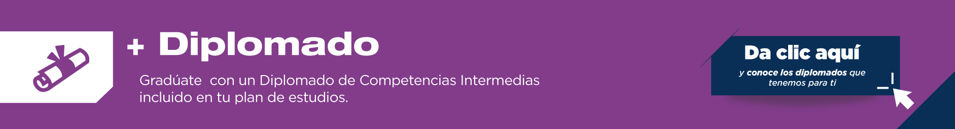 A lo largo de la licenciatura en Comercio y Logística Internacional obtendrás Diplomados de Competencias Intermedias, los cuales tienen un gran valor curricular.