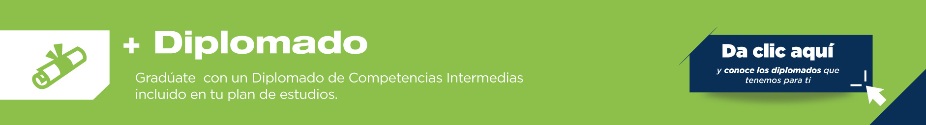 Termina la licenciatura en Contaduría e Impuestos con Diplomados de Competencias Intermedias, los cuales vienen incluidos en el plan de estudios. Tienen un gran valor curricular.