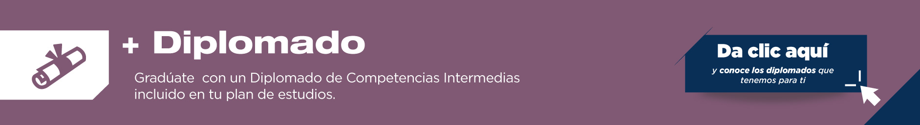 En la licenciatura en Desarrollo e Innovación Turística podrás graduarte con Diplomados de Competencias Intermedias, los cuales te brindarán un gran valor curricular.