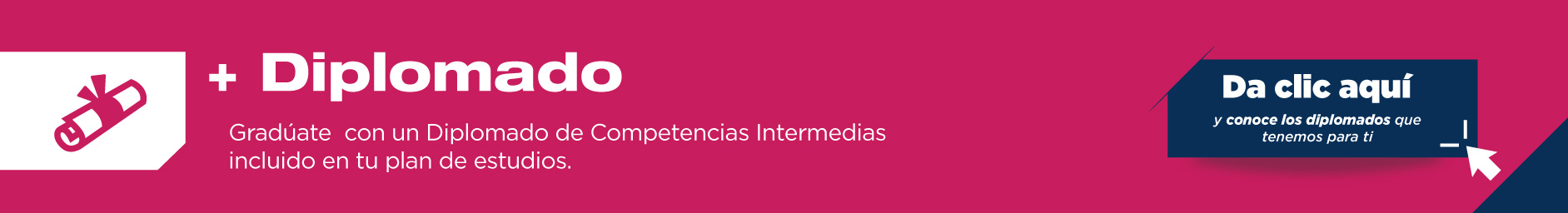 La licenciatura en Gestión Empresarial y Productividad te permite graduarse con Diplomados de Competencias Intermedias, lo que fortalecerá tu perfil profesional.