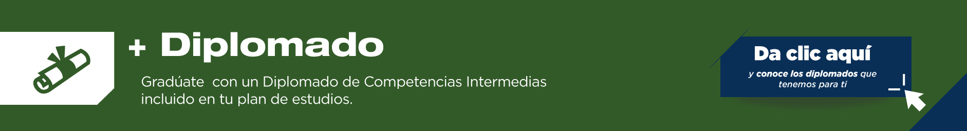 Como alumno de la Ingeniería en Logística del Transporte y Cadenas de Suministro te podrás graduar con Diplomados de Competencias Intermedias. 