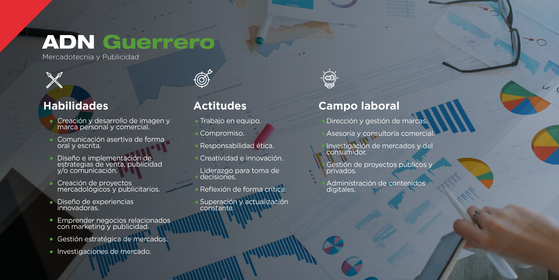 La licenciatura en Mercadotecnia te brindará grandes habilidades y actitudes para desenvolverse con profesionalismo en el campo laboral.