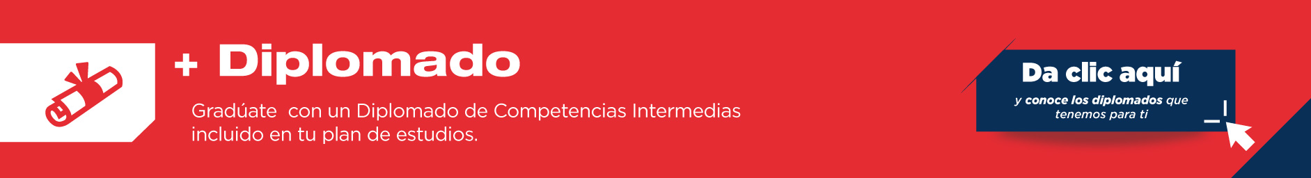 Conoce qué son los Diplomados de Competencias Intermedias, los cuales podrás adquirir a lo largo de la licenciatura en Mercadotecnia. 