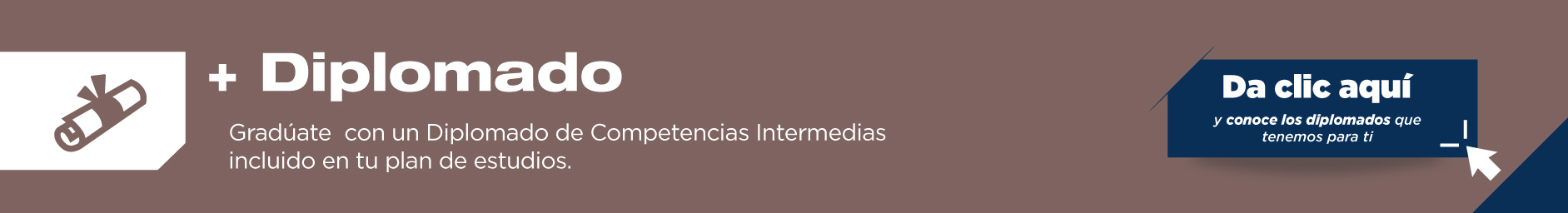 La licenciatura en Pedagogía te brinda la oportunidad de graduarte con Diplomados de Competencias Intermedias. 