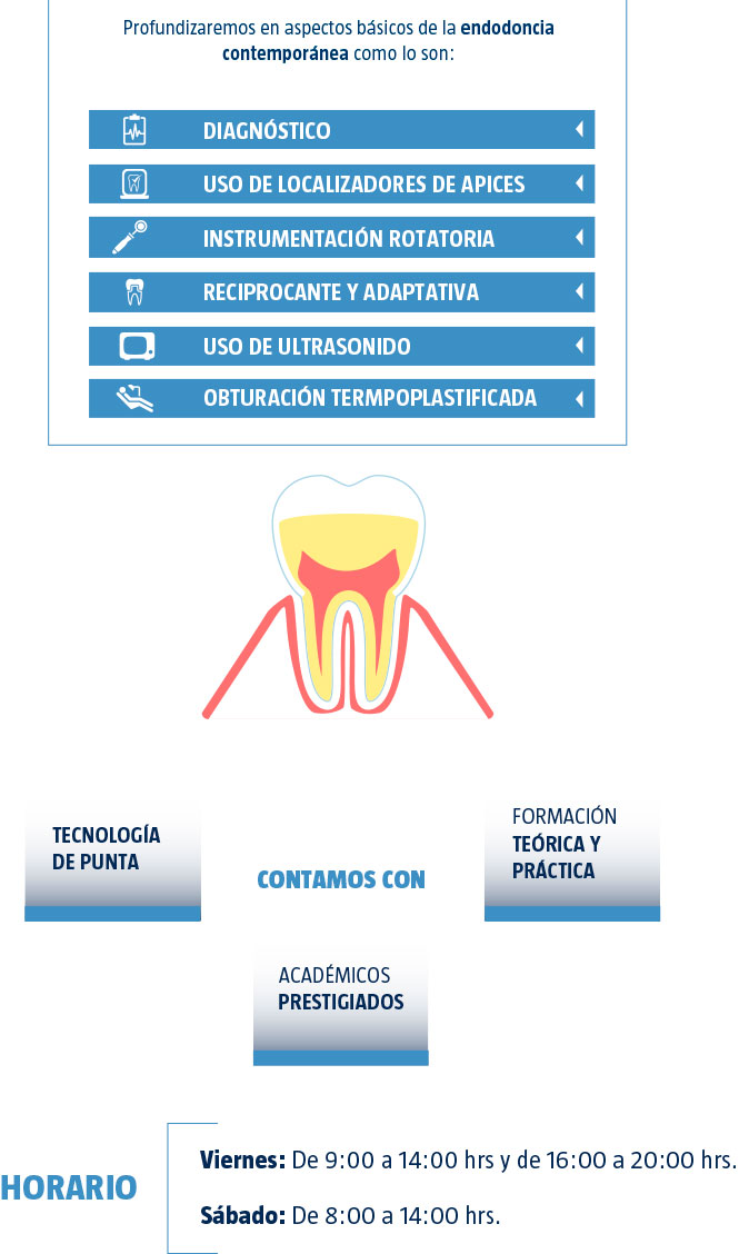 Endodoncia