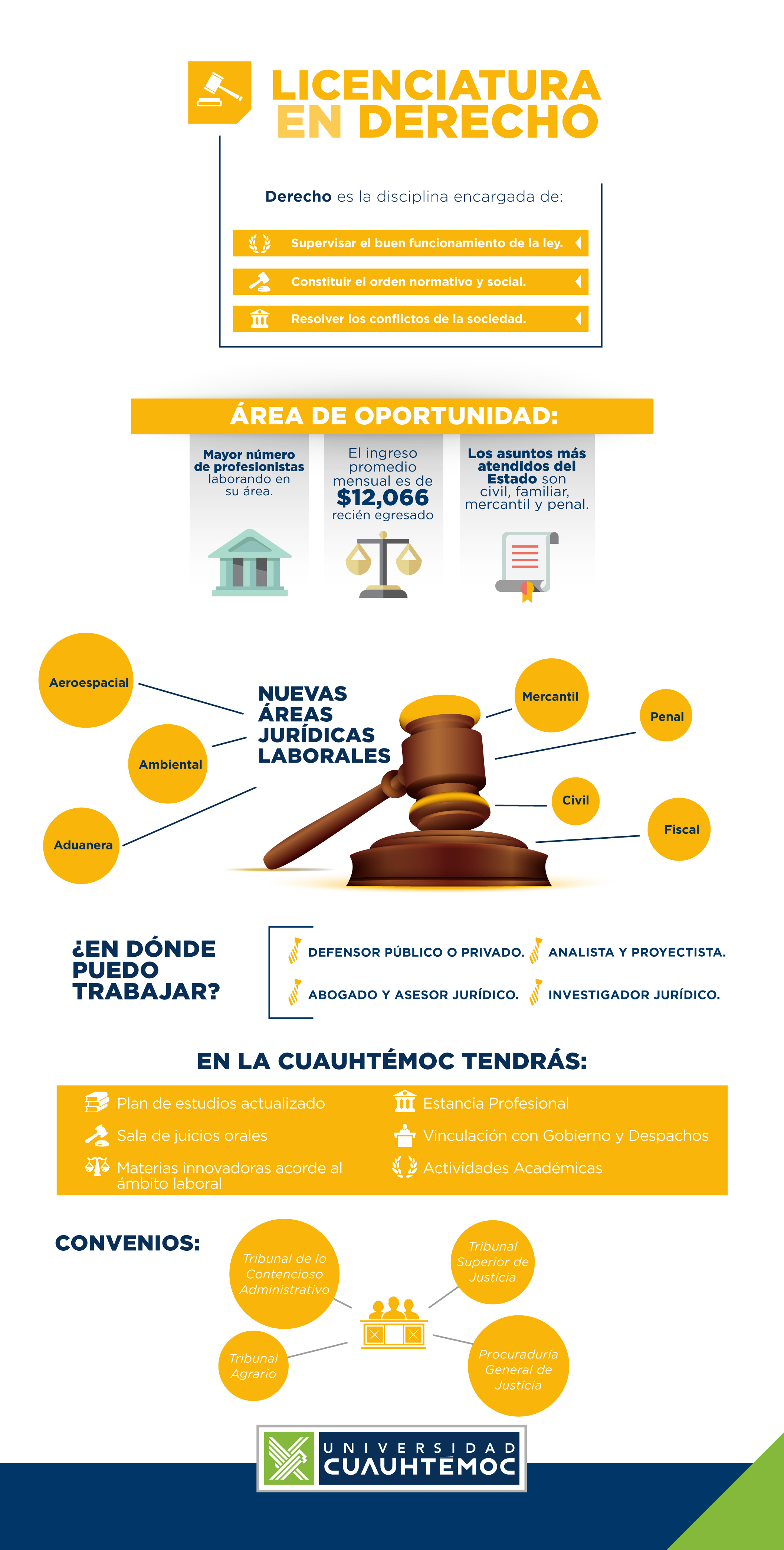 Licenciatura en 

Derecho


